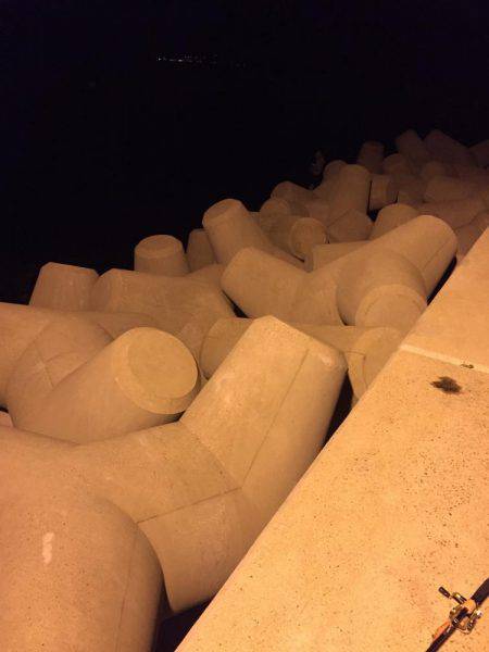 海鮮戦隊エギンガー