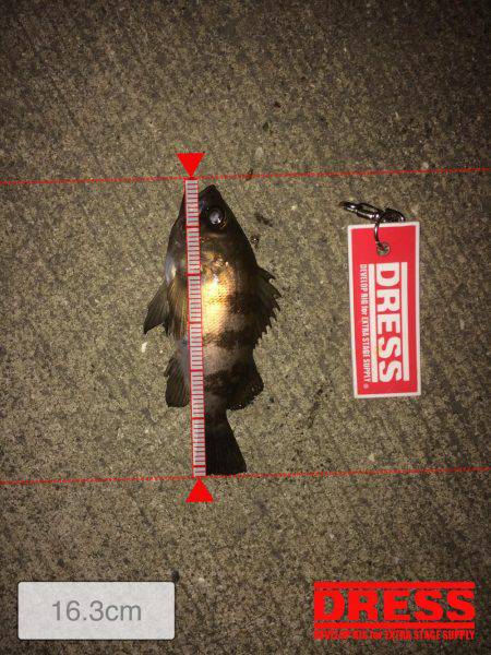 メ…メバリング！！