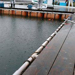 カタタの釣り堀にてカンパチ、ヒラス狙い