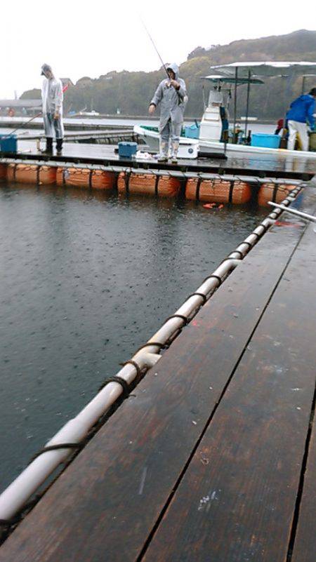 カタタの釣り堀にてカンパチ、ヒラス狙い