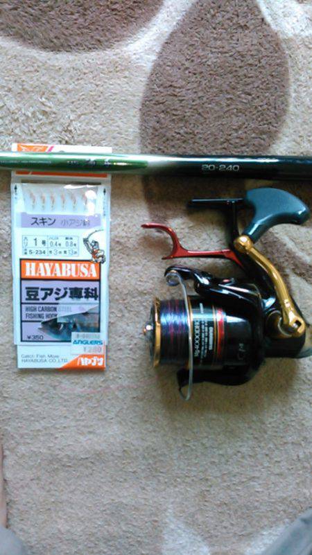 サビキ釣り～夜釣りに挑戦