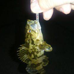 濃霧の中のメバリング