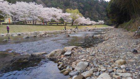 小柿渓谷アマゴ