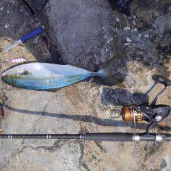 ショアジギボウズではない