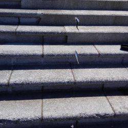 エソ釣りのつもりがイワシ釣り