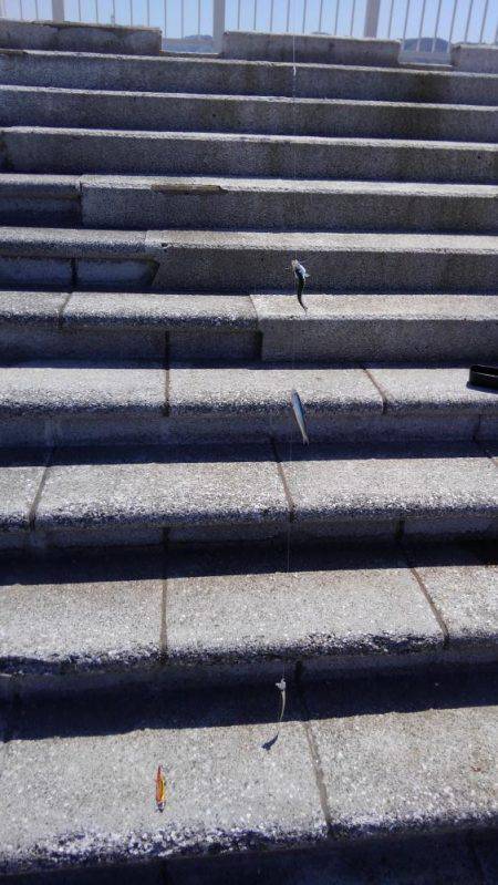 エソ釣りのつもりがイワシ釣り