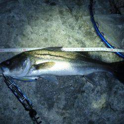 バチパターンじゃなくて．．．