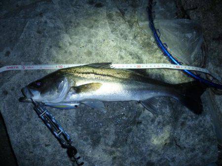 バチパターンじゃなくて．．．