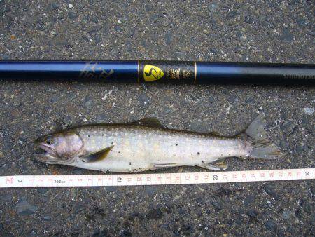 今年初の鳥取県河川釣行