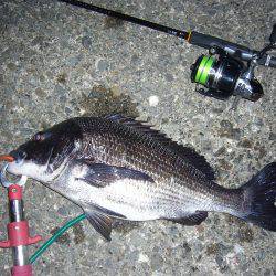 チニングにてようやく本命をGET(σ・∀・)σｹﾞｯﾂ!!