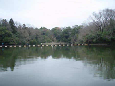 大安トラウトレイク 釣果