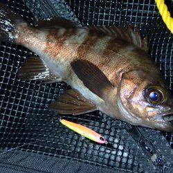 嵐の後の爆釣！