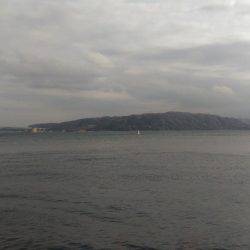 ロックフィッシュ