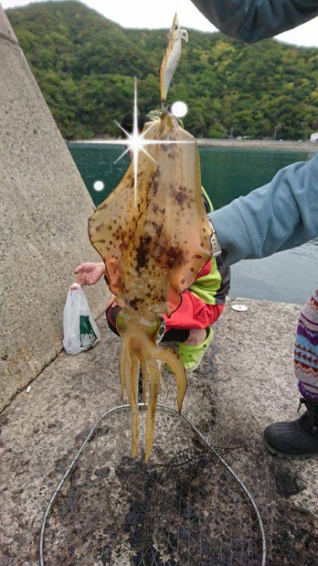 今年初キロup！！