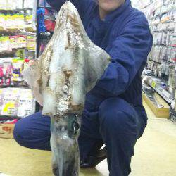 春イカ一発目2キロオーバー！