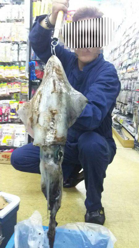 春イカ一発目2キロオーバー！