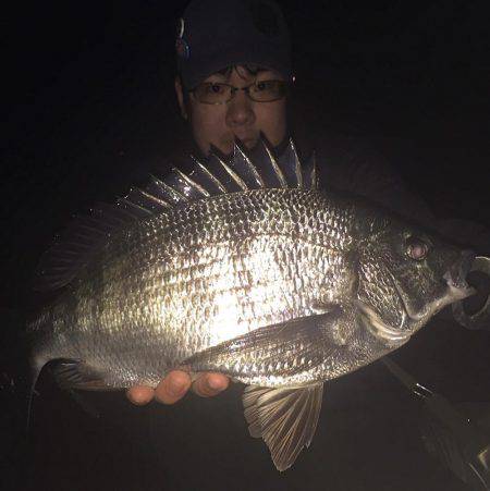 チヌ＆キビレ！