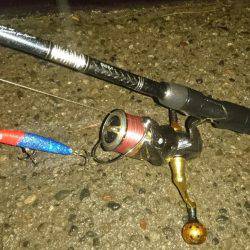 アフターシーバス