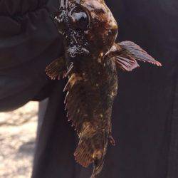 3ヶ月ぶりの獲物