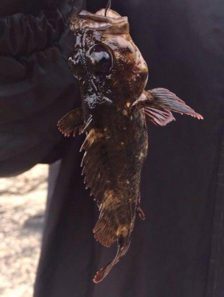 3ヶ月ぶりの獲物