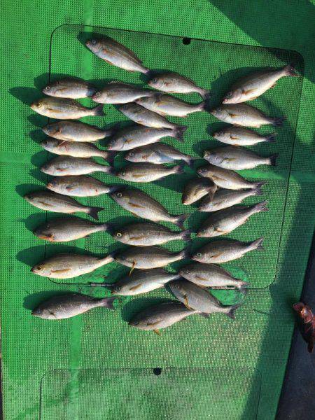 浜吉丸でいく小浦沖一文字