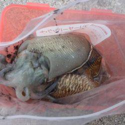 爆風でも何とか