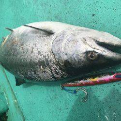 広進丸 釣果