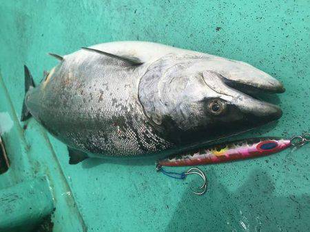 広進丸 釣果