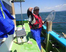 久里浜黒川本家 釣果