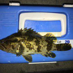 メバル狙うもタケノコ堀