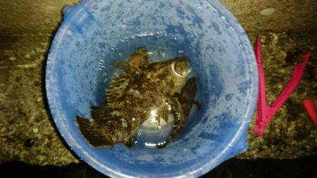 メバリングでタケノコ