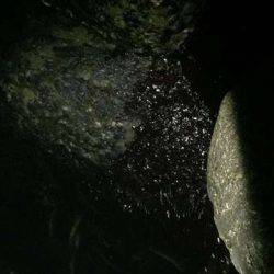 弱い流れの中、強めの流れを発見し・・・