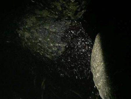 弱い流れの中、強めの流れを発見し・・・