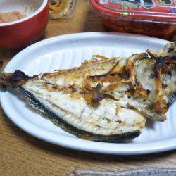 海上釣堀オーパ！シマアジ祭り