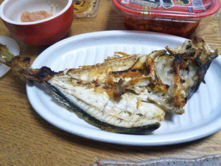 海上釣堀オーパ！シマアジ祭り