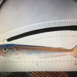 久々の神戸沖防波堤