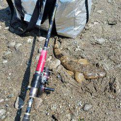 マゴチ釣れたけど・・大事な物を失った