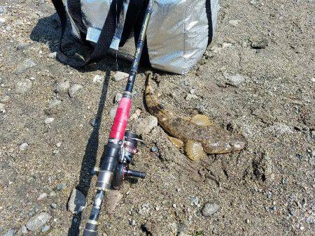 マゴチ釣れたけど・・大事な物を失った