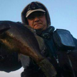 悶絶メバリング