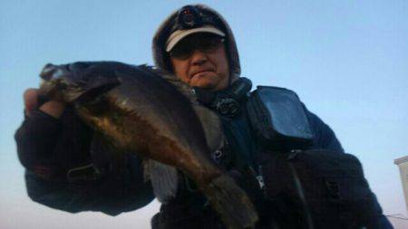 悶絶メバリング