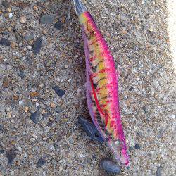 まったりエギング