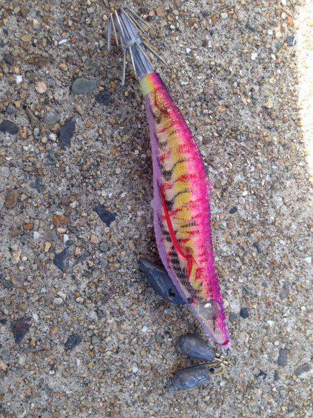 まったりエギング