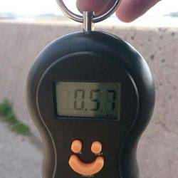 癒し系、コウちゃん