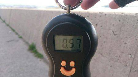 癒し系、コウちゃん