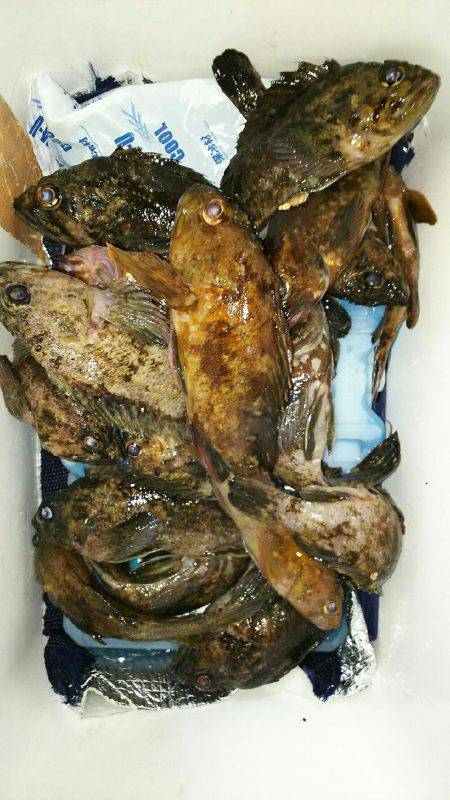 寝魚狙いが 思わぬ 大物