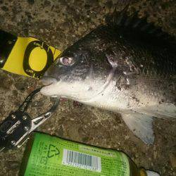 渋いぜチニング。