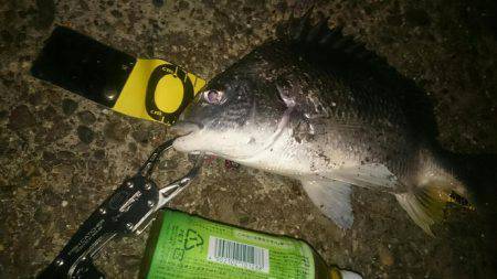 渋いぜチニング。