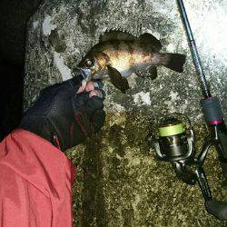 久しぶりの釣行