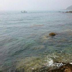 近場でエギング