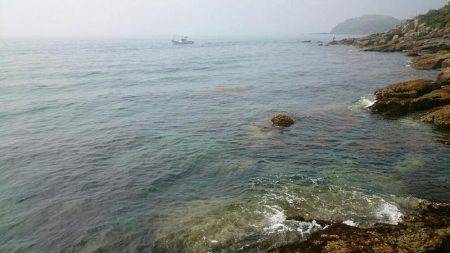 近場でエギング